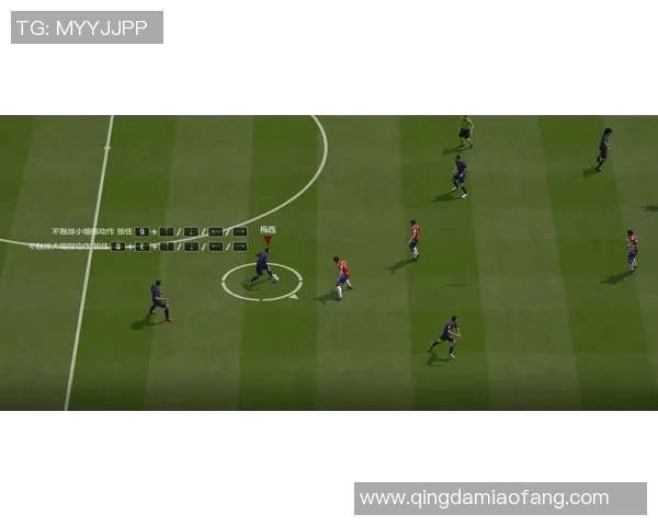 重庆飞盘队在攀岩联赛中的默契配合与战术分析